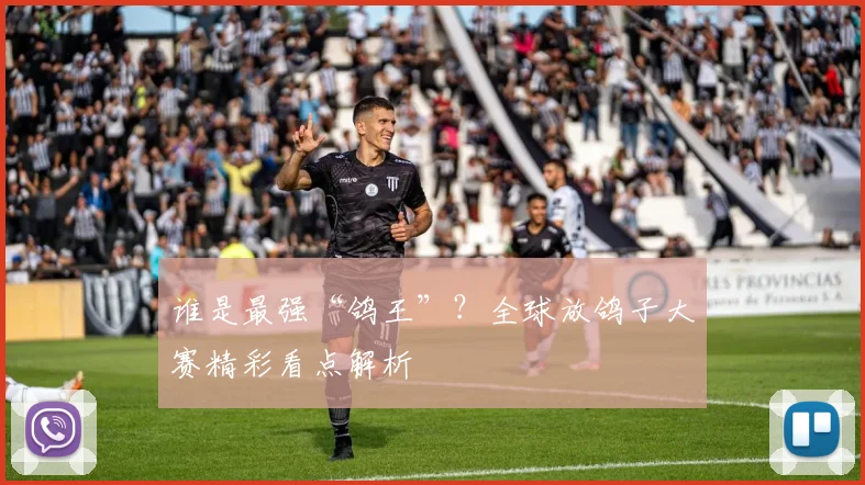 谁是最强“鸽王”？全球放鸽子大赛精彩看点解析